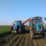 image-17667356531126255528_1200x630