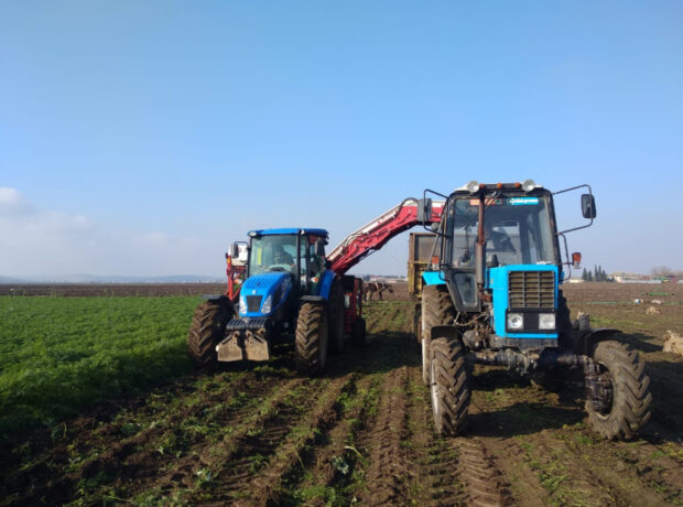 image-17667356531126255528_1200x630