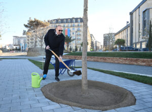 image-17670133882463012560_1200x630