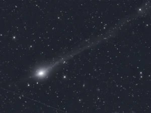 image-1_1uyslblixlmhcbbhjmy_qg