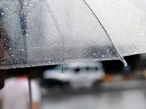 image-35b2783b4344ed2