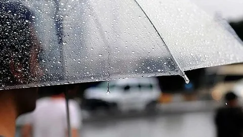 image-35b2783b4344ed2