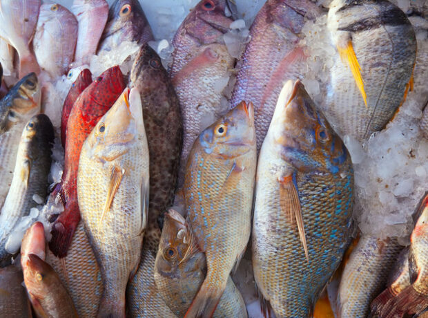 image-69043c2bae5ac93bd750029f