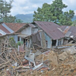 image-692d7fb2ae5ac911b56ade45