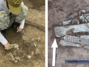 image-692da9adae5ac936e86fc77d