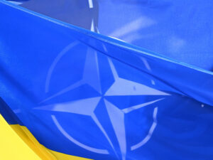 image-692fde0602e8bd70807be984