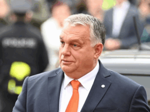 image-69330efd02e8bd4849411d2b