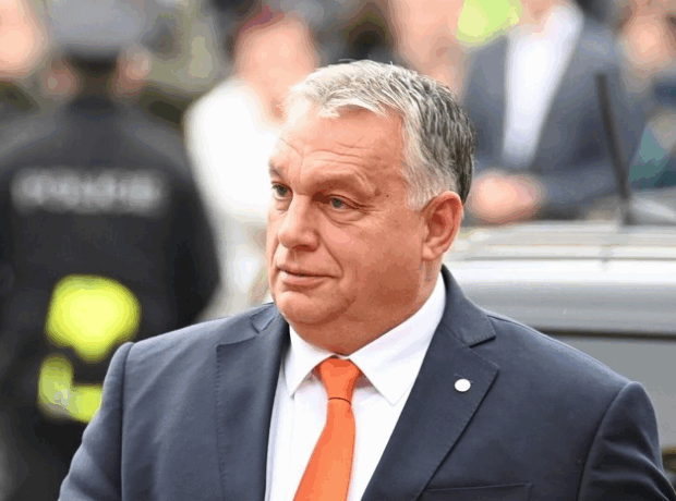 image-69330efd02e8bd4849411d2b