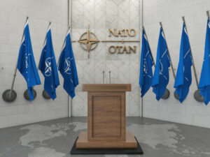 image-6933b00702e8bd4c37471de5