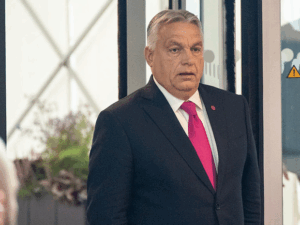 image-69343d1502e8bd7e82763fdf