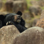 image-69348168ae5ac95f270317bc