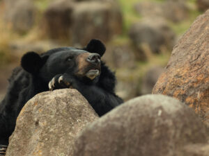 image-69348168ae5ac95f270317bc