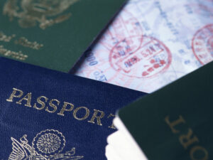 image-69350231ae5ac93de648a5d3