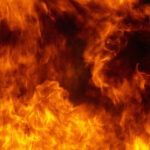 image-69351c2602e8bd4aeb59dcb9