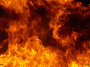 image-69351c2602e8bd4aeb59dcb9