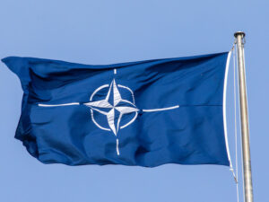 image-69358f72ae5ac96d8553802f