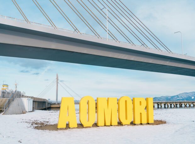 image-69370105ae5ac9359b30b12e