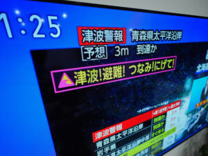 image-693738cf02e8bd23042d21c2