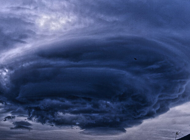 image-693753b5ae5ac94ecf568af1