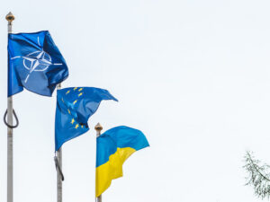 image-69388aeeae5ac969333fd673