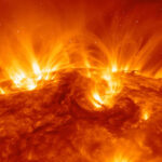 image-693a2d5602e8bd2b547bd809