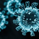 image-693b022b02e8bd018c658ee4