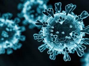 image-693b022b02e8bd018c658ee4