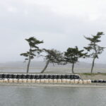 image-693b9d22ae5ac96adb3e09c8