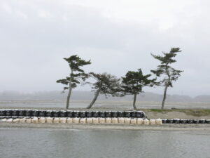 image-693b9d22ae5ac96adb3e09c8