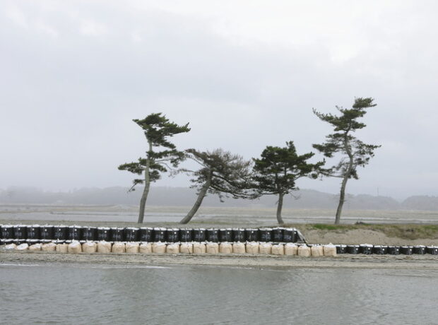 image-693b9d22ae5ac96adb3e09c8