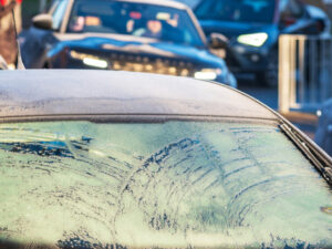 image-693d4e9dae5ac943482e8799