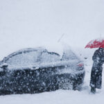 image-693ee99f02e8bd71745e69b0