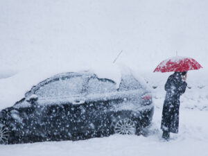 image-693ee99f02e8bd71745e69b0