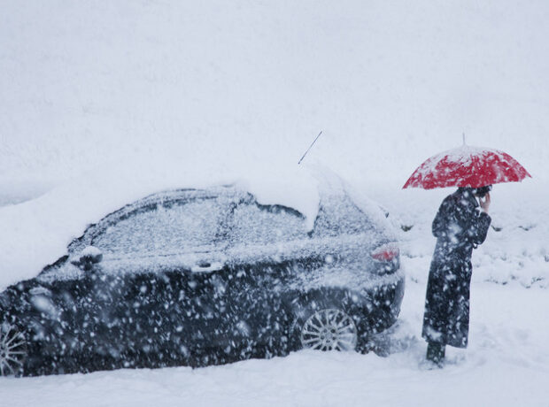 image-693ee99f02e8bd71745e69b0