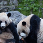 image-693f776fae5ac95e5372e85f