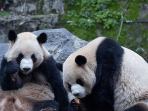 image-693f776fae5ac95e5372e85f