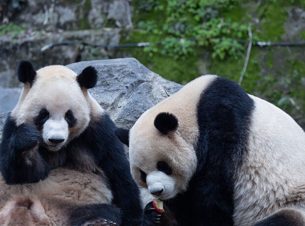 image-693f776fae5ac95e5372e85f