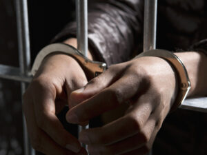 image-693f908502e8bd54170644ea