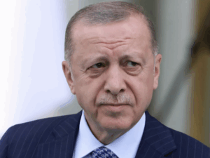 image-69415b3202e8bd26994c4b6a