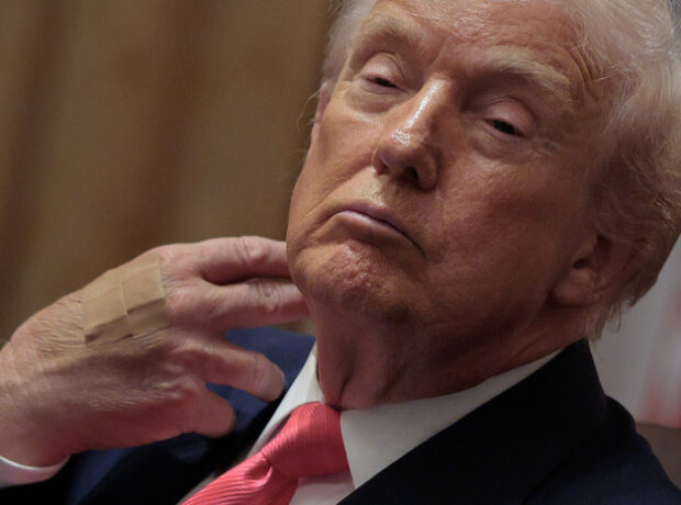 image-6942530d02e8bd42542e4add