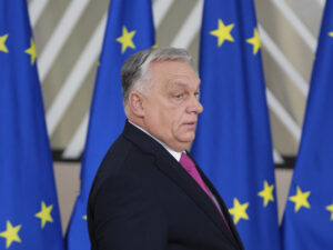 image-6946df6702e8bd35242e0fa8