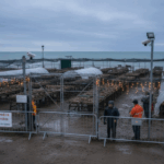 image-6947eb15ae5ac91c4c3fb4b7