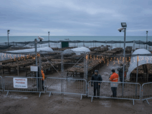 image-6947eb15ae5ac91c4c3fb4b7