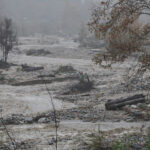 image-694e0a0a02e8bd206104bf41