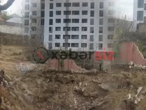 image-73eaa741-1ae0-4413-8368-273eebd869a4-1140x570