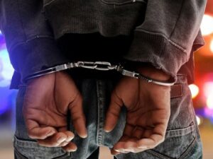 image-82ceb102-9701-47e0-8aab-61cf871329b4