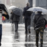 image-c322291e469b064996866af3a84cc5db