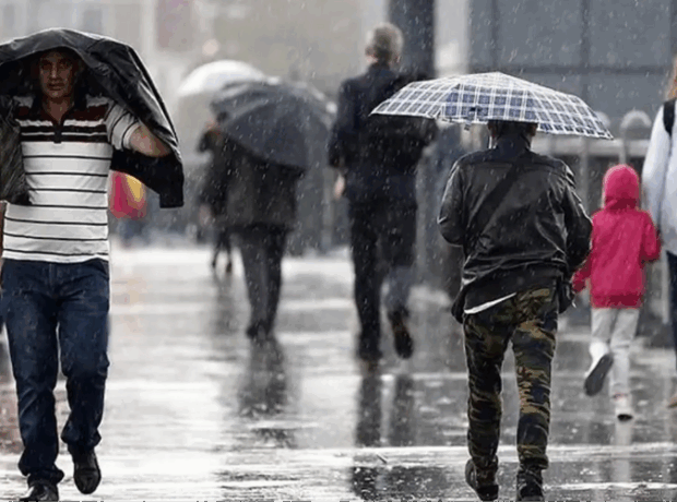 image-c322291e469b064996866af3a84cc5db