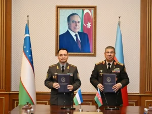 image-csr4ibsuuohdriyuk1jjqnwtgkimjmewdfscwgox_640