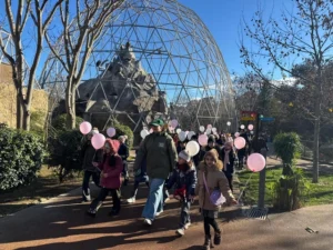 image-cvttkqeikwcxc404o3ncuasowl5azias96ktmcql_640